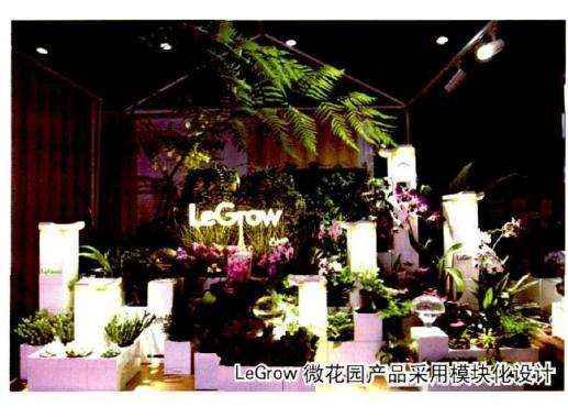 广州举办家庭园艺盆栽展览会 图片