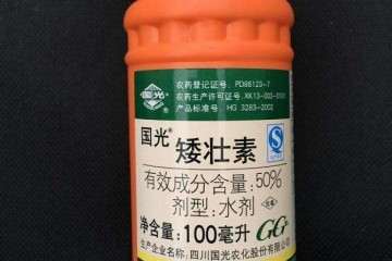 矮壮素还对盆栽植株的叶片有调控作用