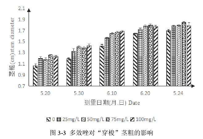多效唑对百合盆栽茎粗的影响 图片