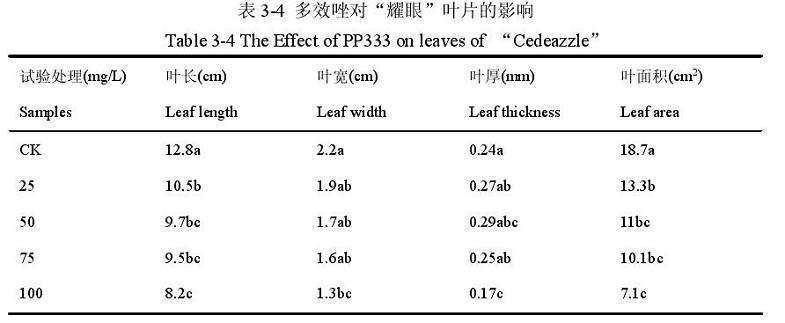 多效唑对百合盆栽叶片的影响 图片