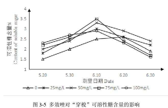多效唑对百合盆栽可溶性糖含量的影响
