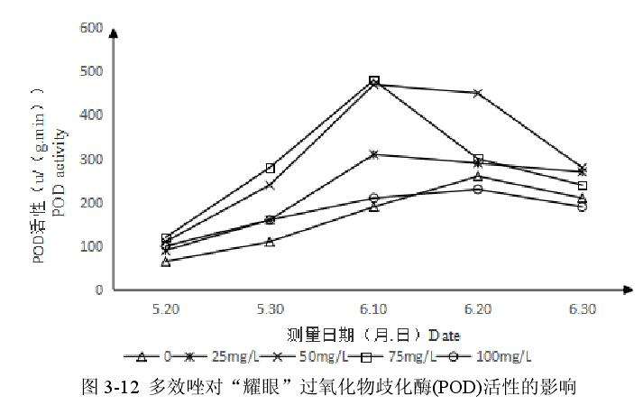 多效唑对百合盆栽过氧化物酶活性的影响