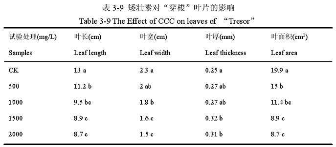 矮壮素对百合盆栽叶片的影响 图片