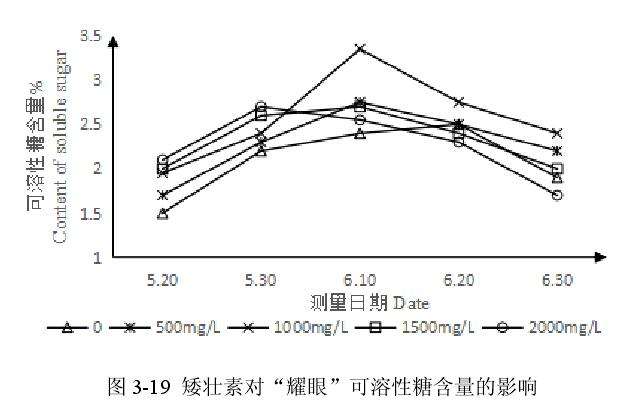 矮壮素对百合盆栽可溶性糖含量的影响