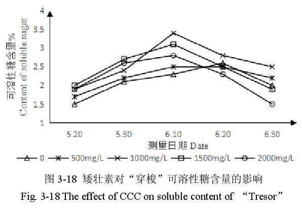 矮壮素对百合盆栽可溶性糖含量的影响