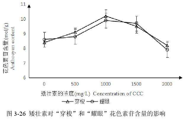 矮壮素对百合花盆栽色素苷含量的影响