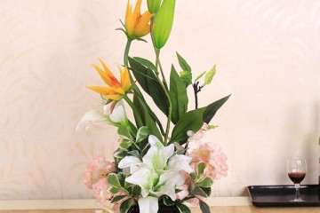 生长延缓剂对百合盆栽叶片的影响 图片