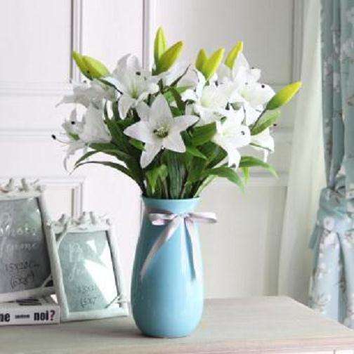 生长延缓剂对百合盆栽生理特性的影响