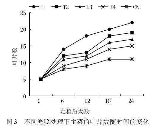 不同光照强度对生菜盆栽生理指标的影响