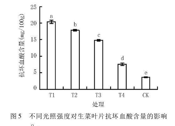 不同光照强度对生菜盆栽单株产量的影响