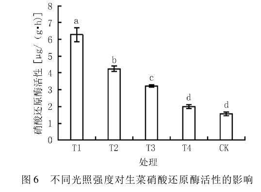 不同光照强度对生菜盆栽单株产量的影响