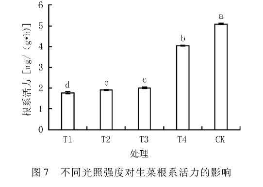 不同光照强度对生菜盆栽单株产量的影响