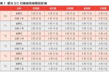 肥水EC对辣椒盆栽物候期的影响