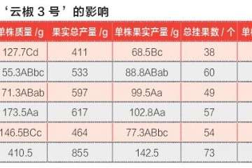 肥水EC对云椒3号辣椒盆栽的影响 图片
