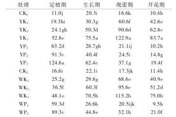 盆栽月季不同生长阶段有效磷的差异及变化