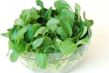 温室大棚油菜盆栽的土壤改良剂试验