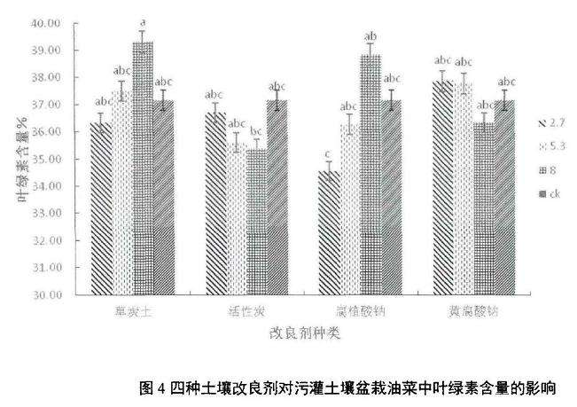 四种土壤改良剂对盆栽油菜叶绿素含量的影响