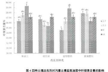 四种土壤改良剂对盆栽油菜叶绿素含量的影响