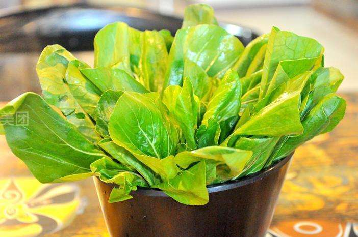 改良剂对油菜盆栽的影响有哪些 图片