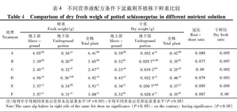 不同营养液配方下荆芥盆栽植株干鲜重的比较