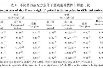 不同营养液配方下荆芥盆栽植株干鲜重的比较