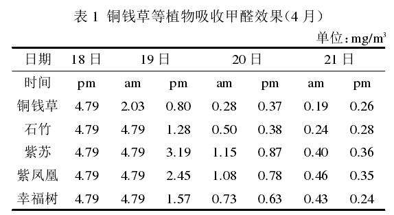 盆栽植物吸收甲醛的效率均超过90%