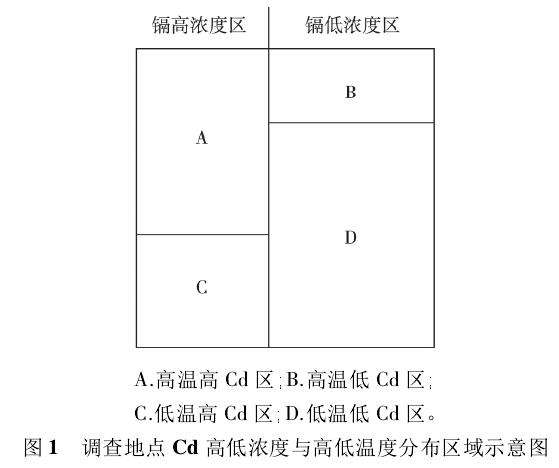 不同处理盆栽桑叶枯病发病情况调查