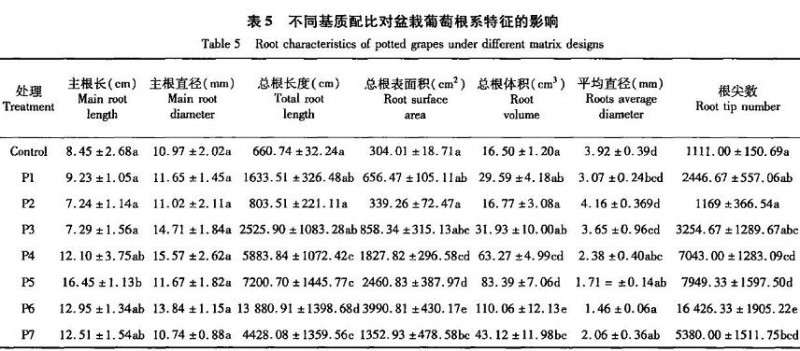 不同基质配比对盆栽葡萄根系特征的影响