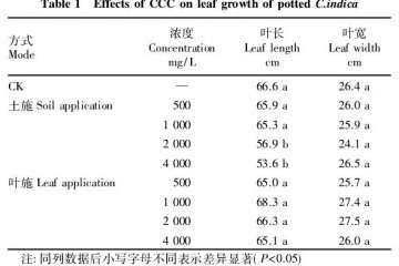 PP333对盆栽美人蕉叶片生长的影响