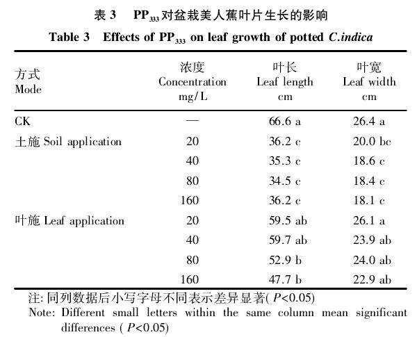 为什么CCC更加适用于盆栽美人蕉的矮化