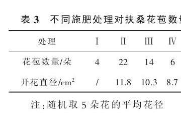 不同施肥处理对扶桑盆栽开花的影响