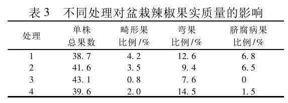 盆栽辣椒的植株和果实性状 图片