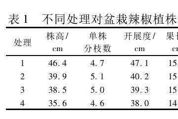 盆栽辣椒的植株和果实性状 图片