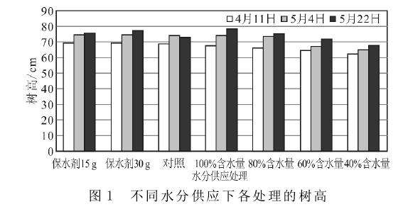 不同水分对巨尾桉盆栽高生长的影响