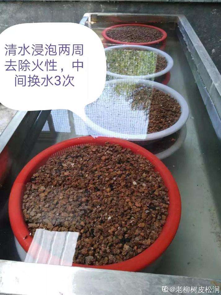 怎么用煤渣养多肉植物的方法
