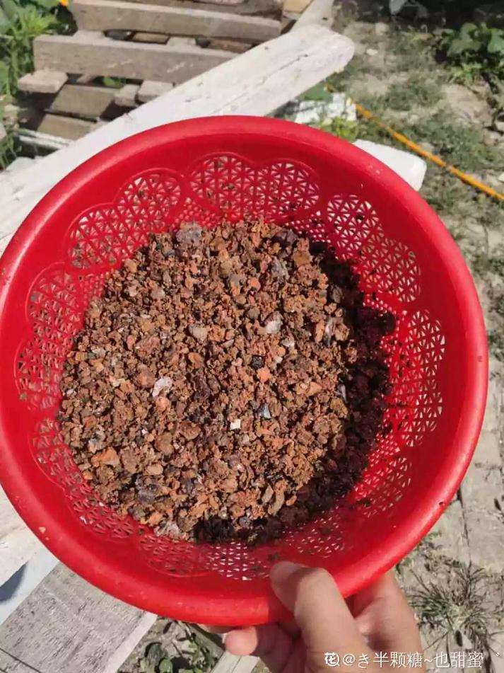 怎么用煤渣养多肉植物的方法