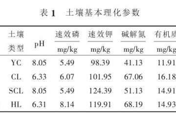 草莓盆栽的试验材料与方法 图片