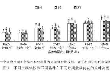 不同盆土体积对荷花盆栽立叶面积的影响