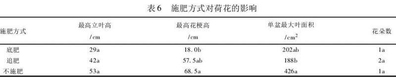 施肥方式对荷花盆栽有什么影响 图片