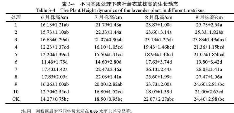 不同基质对狭叶薰衣草盆栽株高的影响