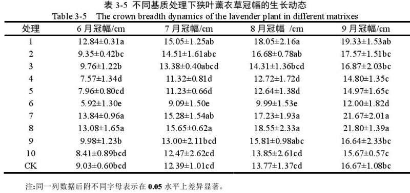 不同基质对狭叶薰衣草盆栽冠幅的影响