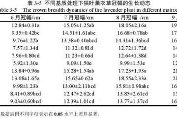 不同基质对狭叶薰衣草盆栽冠幅的影响
