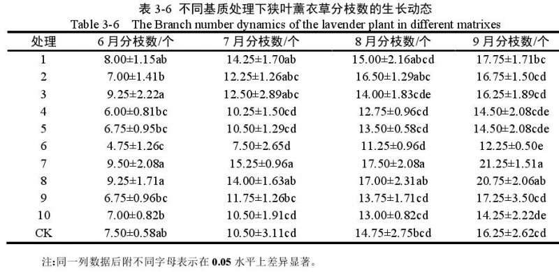 不同基质对狭叶薰衣草盆栽分枝数的影响