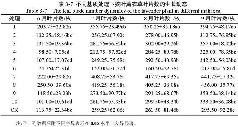 不同基质对狭叶薰衣草盆栽叶片数的影响