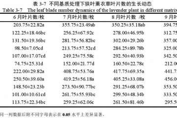 不同基质对狭叶薰衣草盆栽叶片数的影响