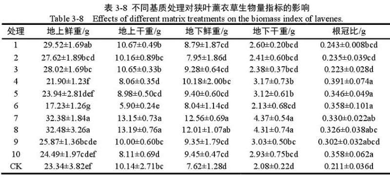 不同基质对狭叶薰衣草盆栽根冠比的影响