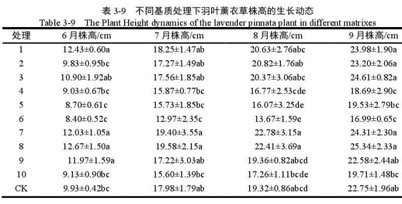 不同基质对羽叶薰衣草盆栽株高的影响