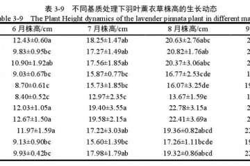 不同基质对羽叶薰衣草盆栽株高的影响