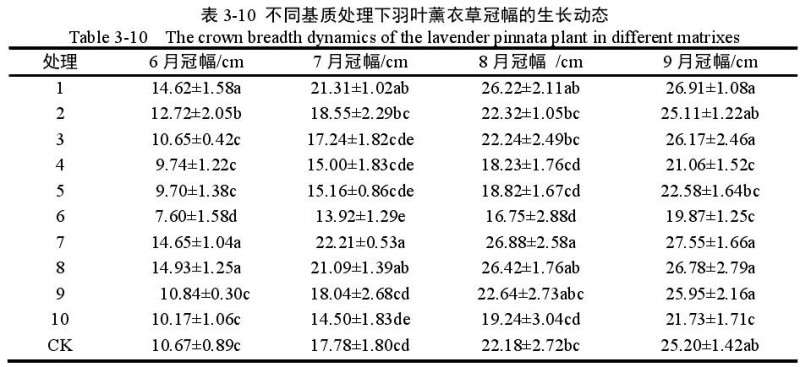 不同基质对羽叶薰衣草盆栽冠幅的影响