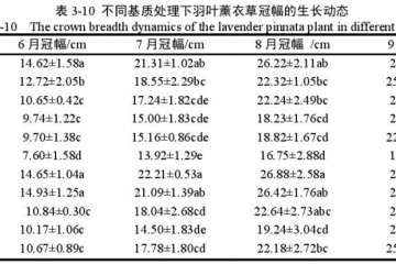 不同基质对羽叶薰衣草盆栽冠幅的影响